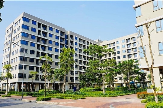 Nội dung chính